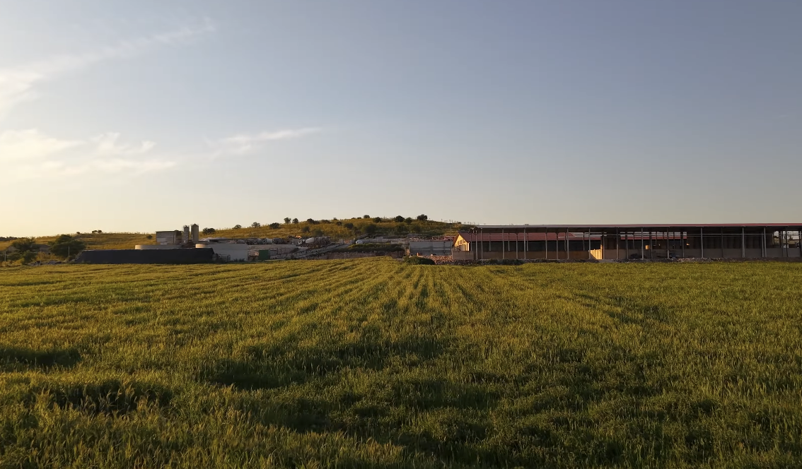 Azienda Agricola Rinaldi — Video Corporate Aziendale